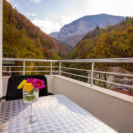 Trite Bora Pensjonat Narechenski Bani