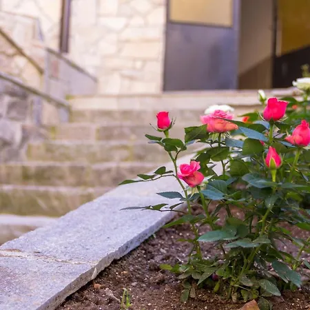 Trite Bora Casa de hóspedes Narechenski Bani