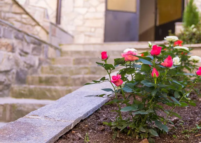 Trite Bora Konukevi Narechenski Bani